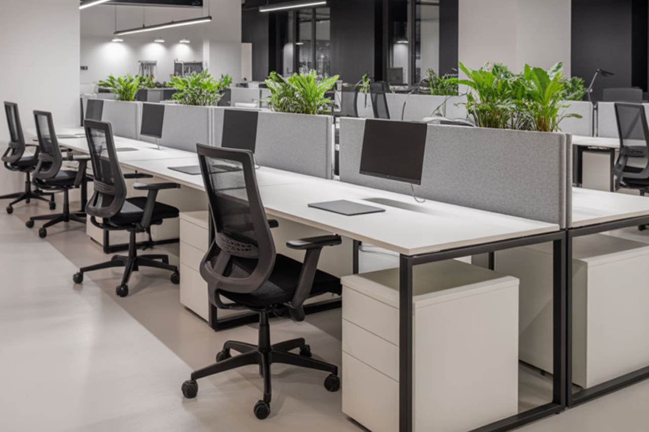 Untitled design - 2026-02-07T105312.994